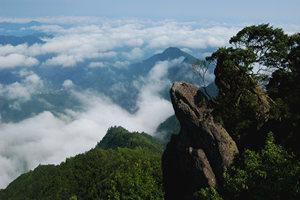 赣州阳明山国家森林公园